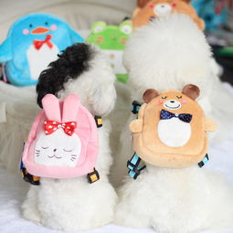寵星人 為愛寵打造品質(zhì)生活，最新產(chǎn)品與服務(wù)全解析