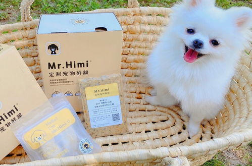 俘獲鏟屎官，從滿足主子的胃開始 定制處方鮮糧引領(lǐng)寵物服務(wù)新潮流
